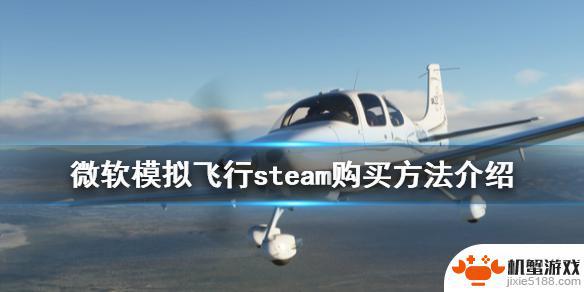 微软模拟飞行在steam叫什么