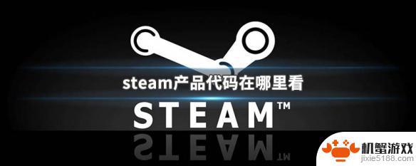 steam游戏的产品代码