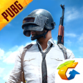 PUBG MOBILE测试服游戏