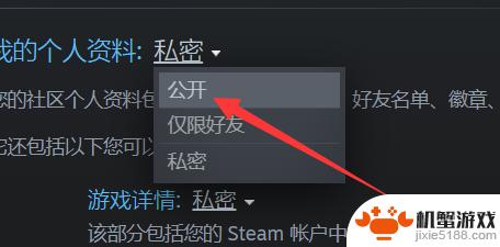 steam信息公开怎么弄