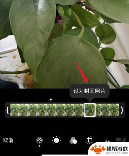 苹果手机怎么拍照单张