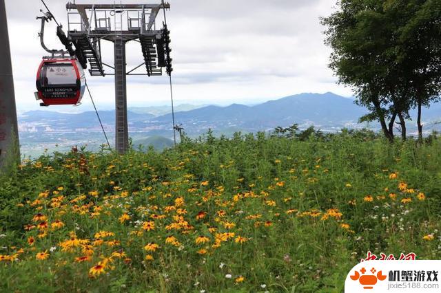 吉林滑雪场推出夏季山地运动,引领运动热潮