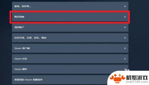 steam如何看自己买的记录